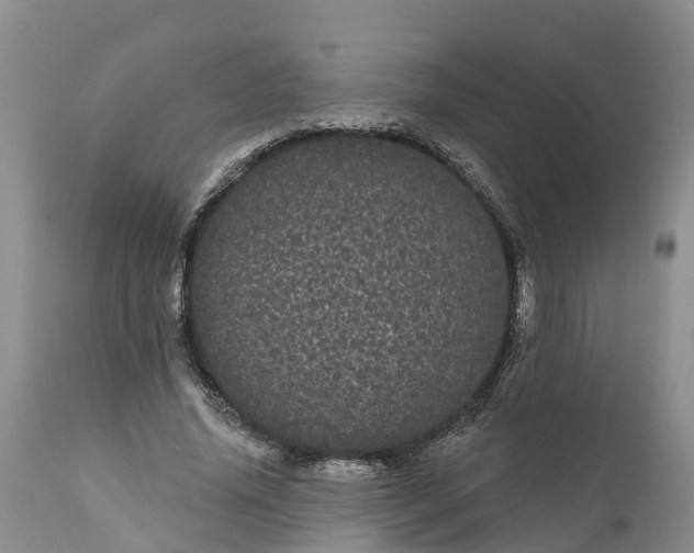 X0000111050636200907091634