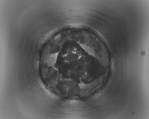 X0000111050637200907091634