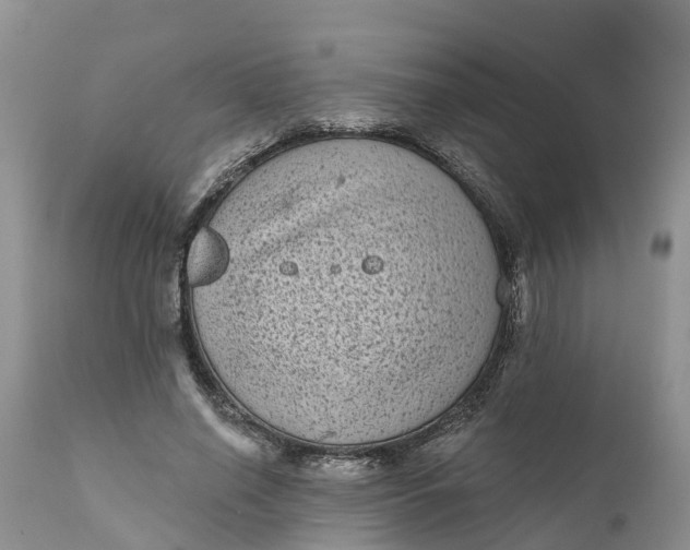 X0000111050638200907091634