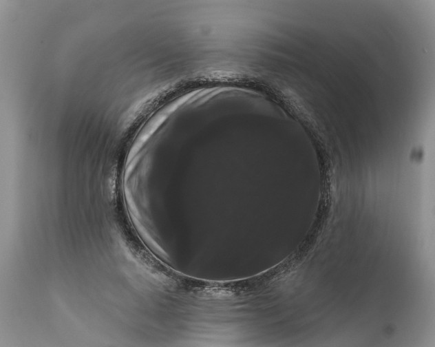 X0000111050640200907091634