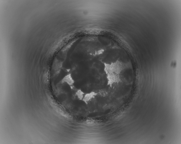 X0000111050641200907091634