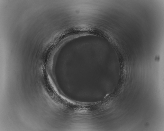 X0000111050643200907091634