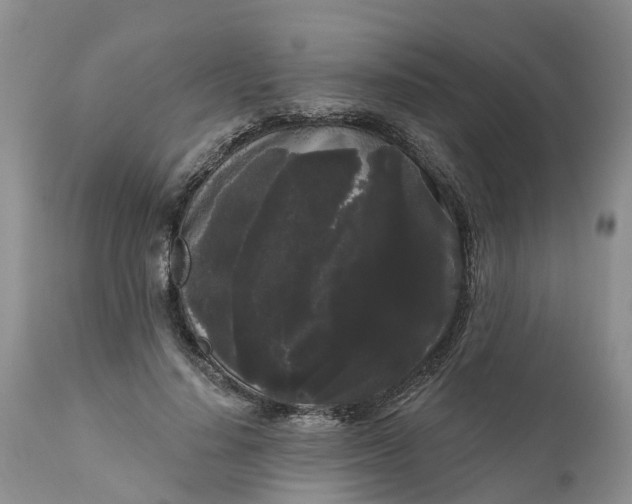 X0000111050644200907091634