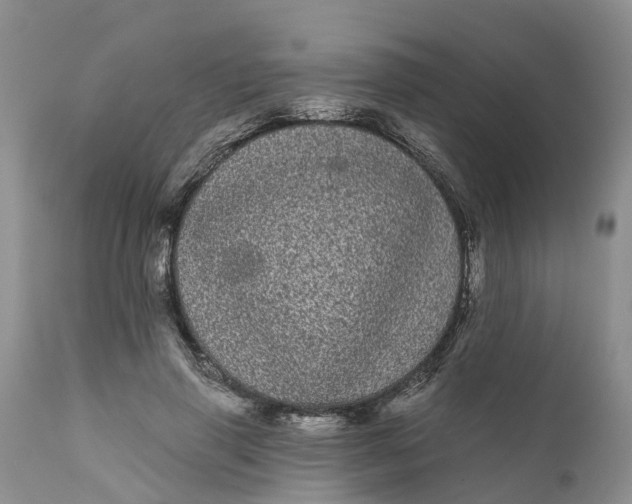 X0000111050645200907091634