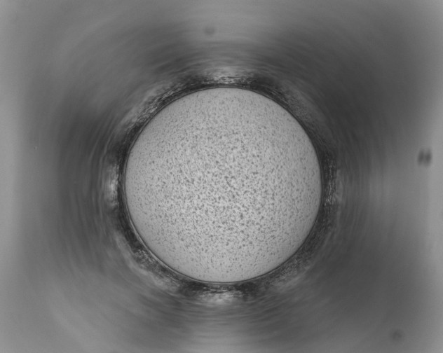 X0000111050646200907091634