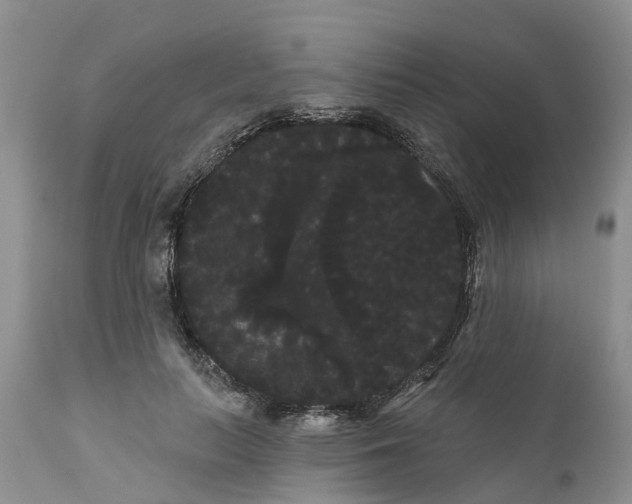 X0000111050647200907091635