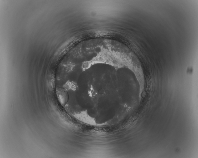 X0000111050648200907091635