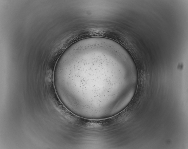 X0000111050649200907091635