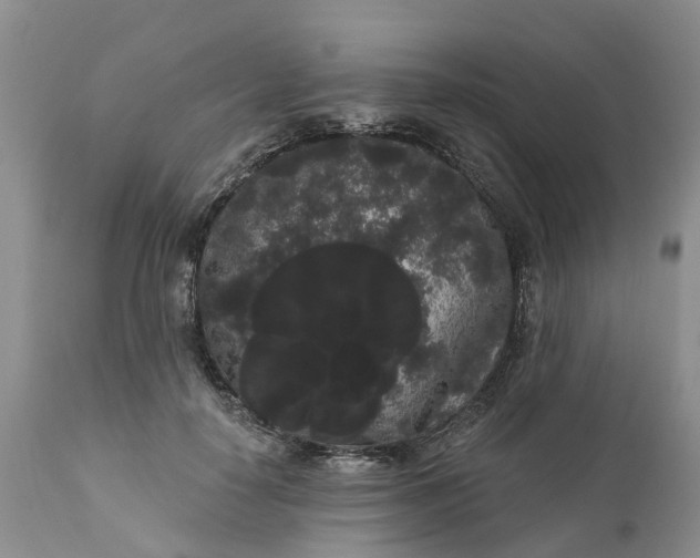 X0000111050650200907091635