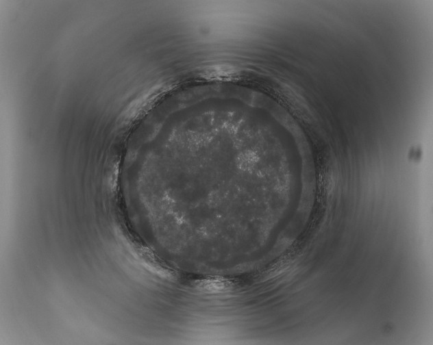 X0000111050652200907091635