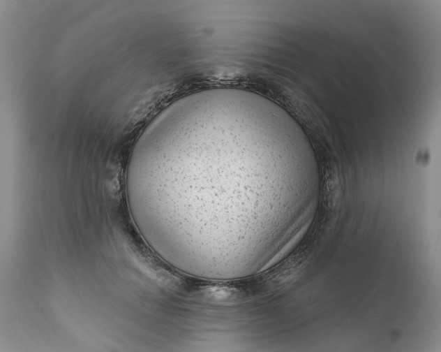 X0000111050654200907091635