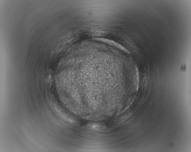 X0000111050655200907091635