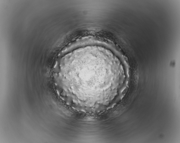 X0000111050657200907091635