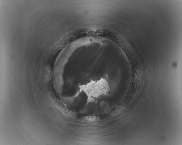 X0000111050659200907091635