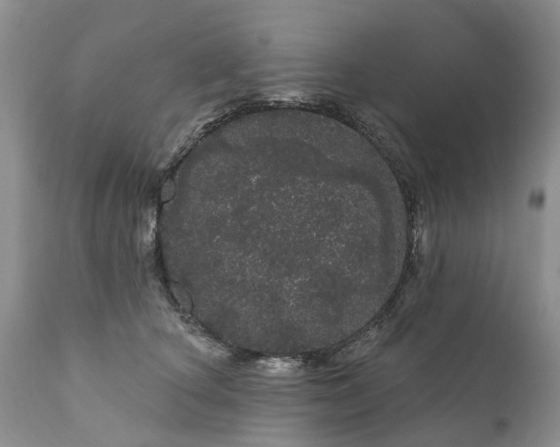 X0000111050660200907091635