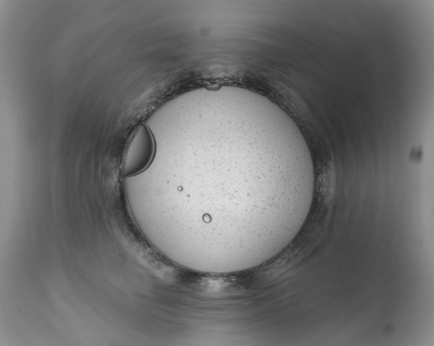 X0000111050662200907091635