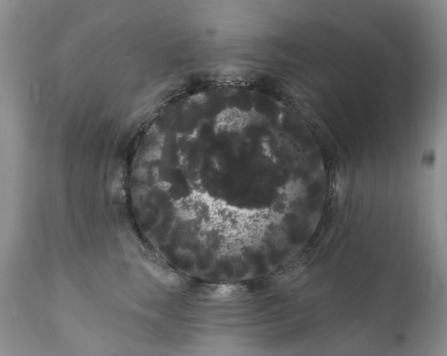 X0000111050663200907091635