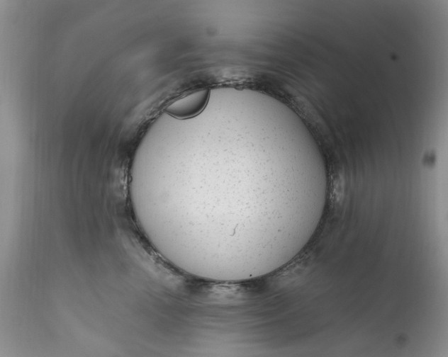 X0000111050666200907091635