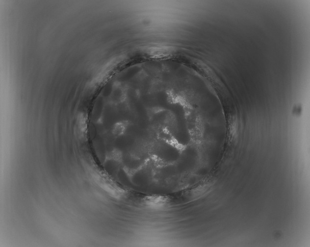 X0000111050667200907091635