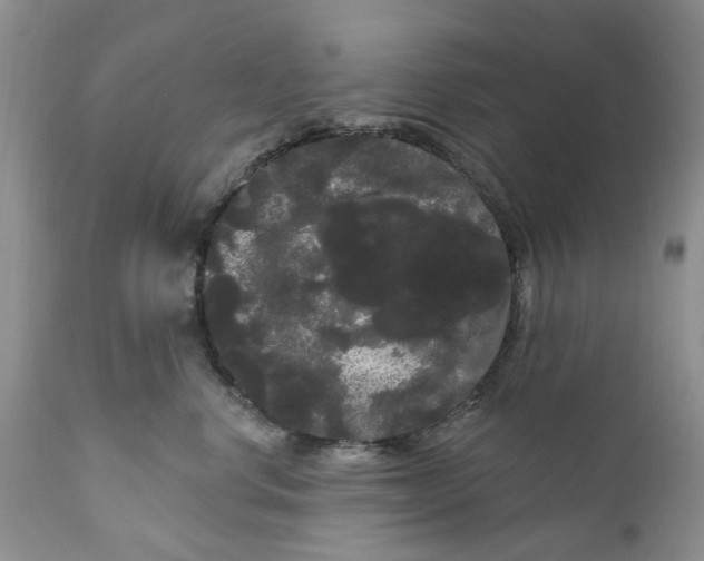 X0000111050668200907091635