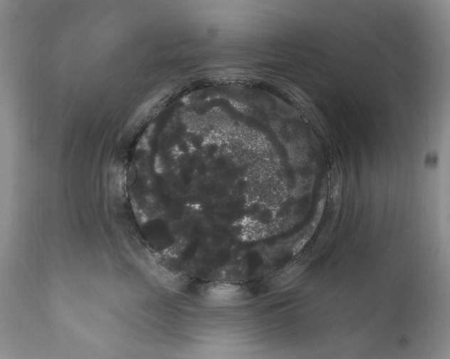 X0000111050669200907091635