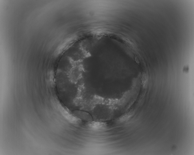 X0000111050670200907091635