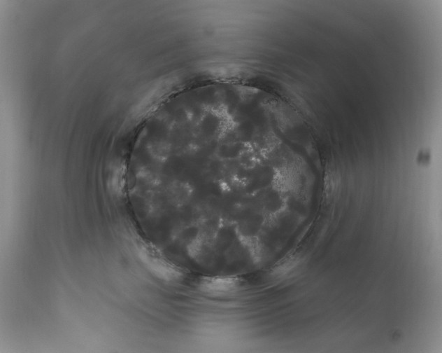 X0000111050671200907091635