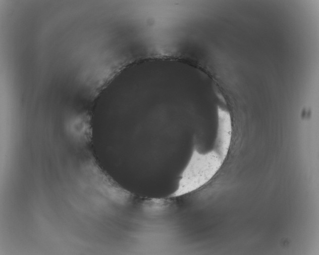 X0000111050672200907091635