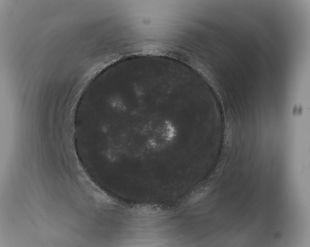 X0000111050673200907091634