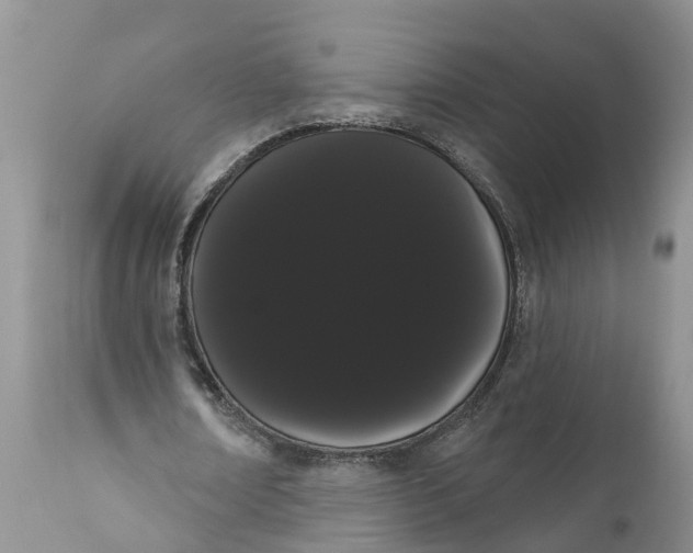 X0000111050674200907091634