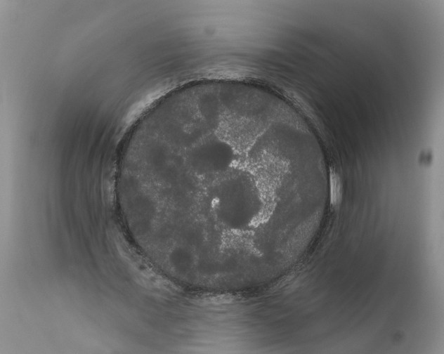 X0000111050675200907091634