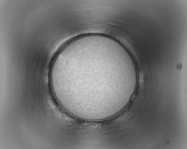 X0000111050676200907091634