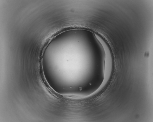 X0000111050677200907091634