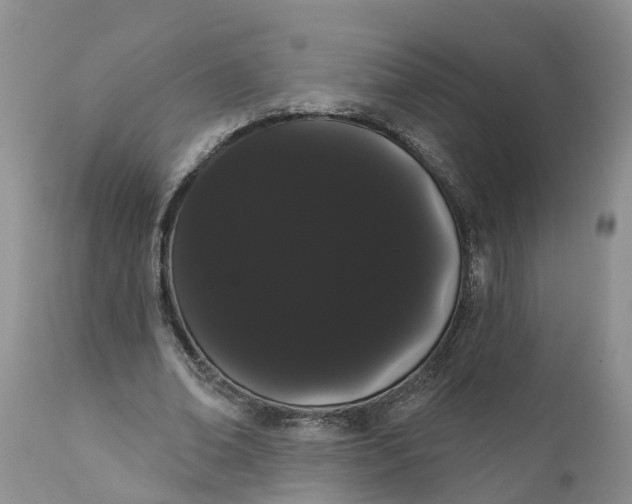 X0000111050678200907091634