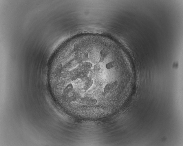 X0000111050679200907091634