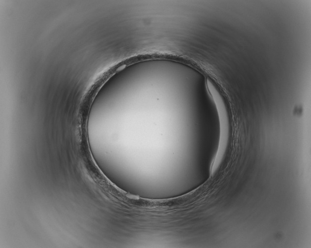 X0000111050680200907091634