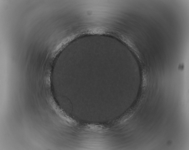 X0000111050681200907091634