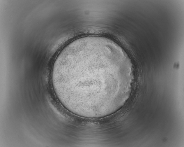 X0000111050683200907091634