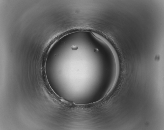 X0000111050684200907091634