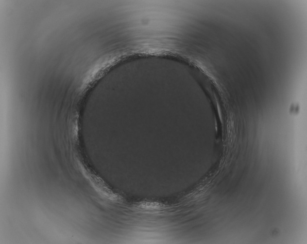 X0000111050685200907091634