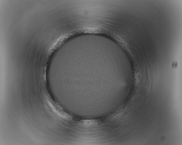 X0000111050686200907091634