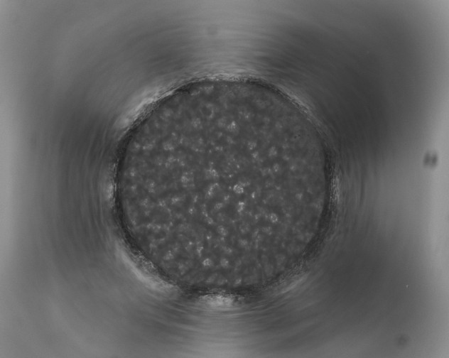 X0000111050687200907091634