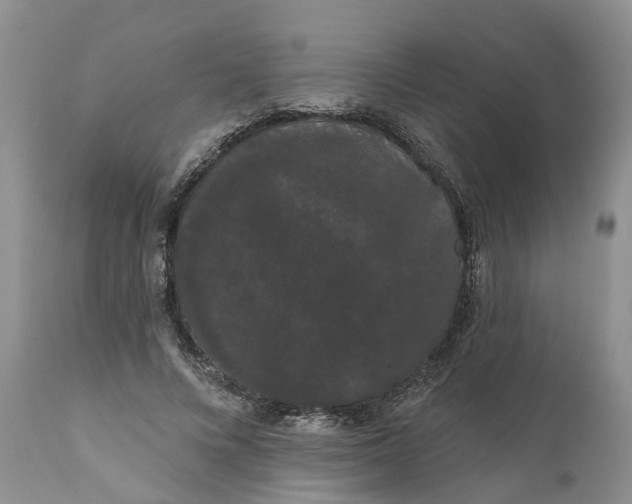 X0000111050688200907091634