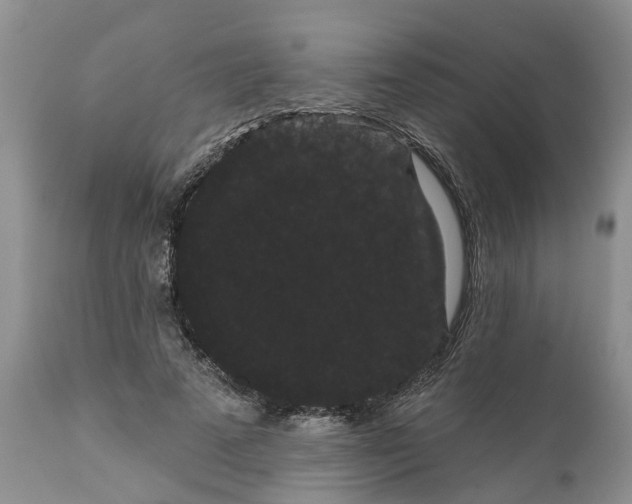 X0000111050689200907091634