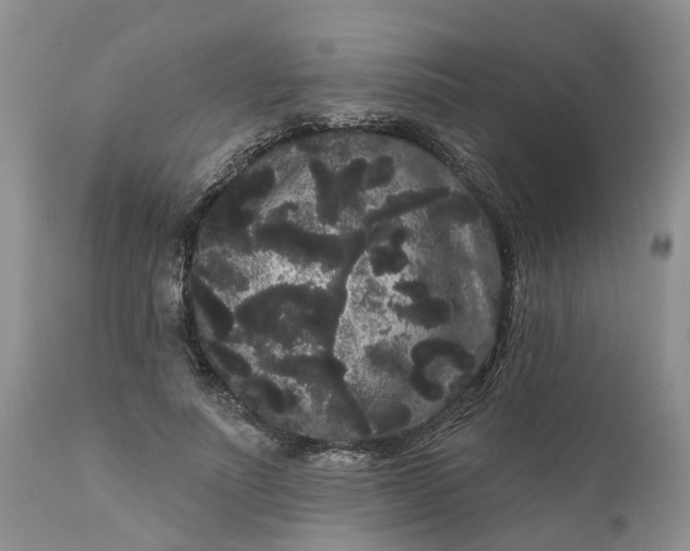 X0000111050691200907091634