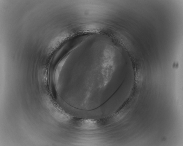 X0000111050692200907091634