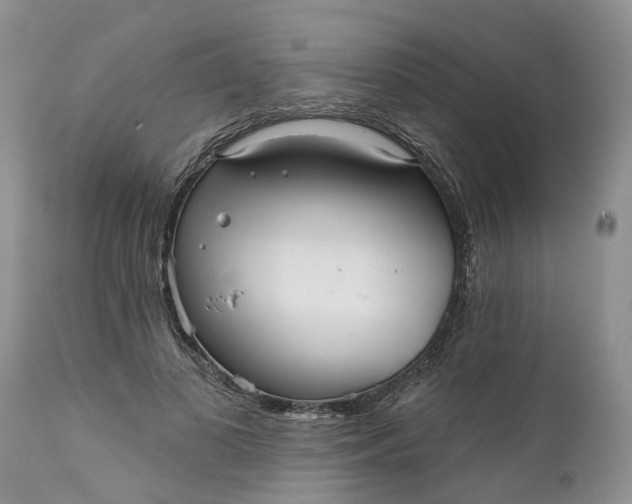 X0000111050693200907091634