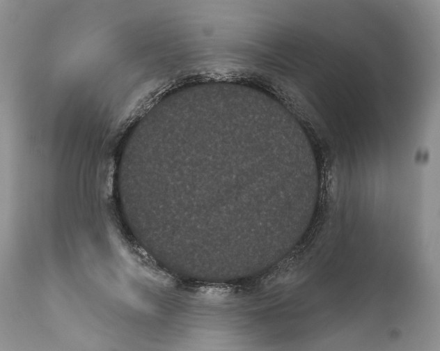 X0000111050694200907091634