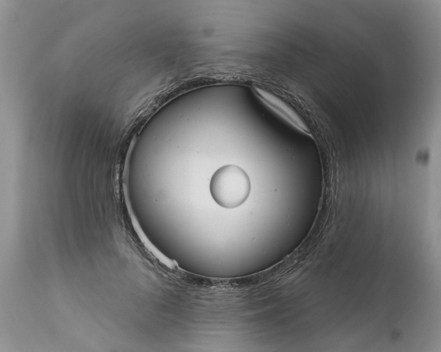 X0000111050696200907091634