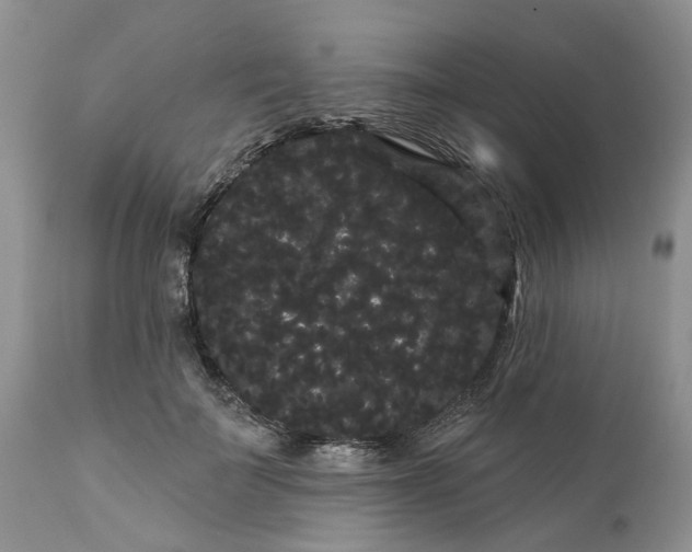 X0000111050699200907091634